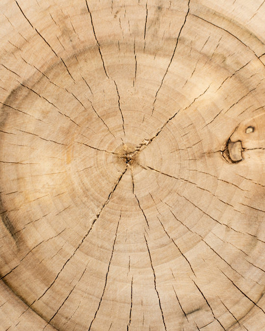 Zašto se vraćamo prirodi